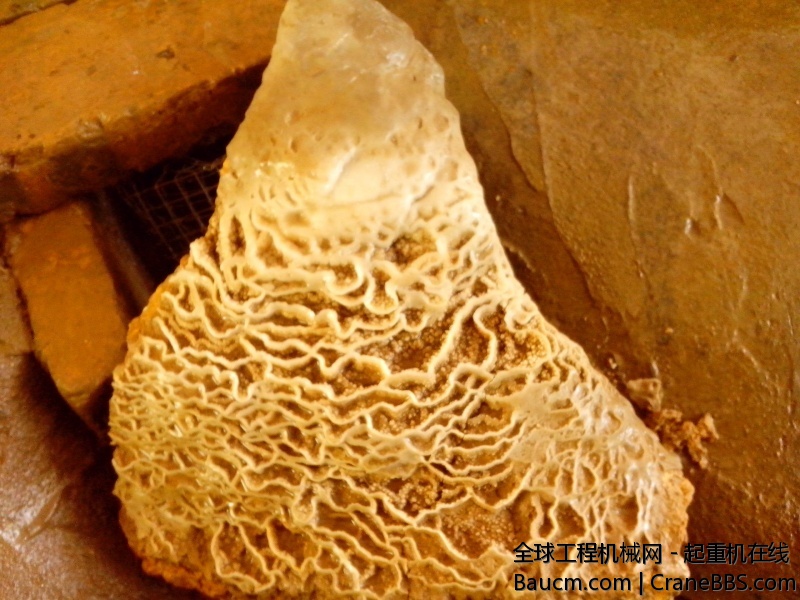 在山洞拿出来的收藏的