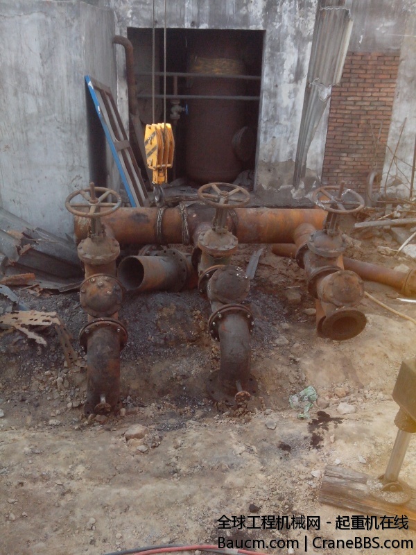 IMG_20131020_081447.jpg