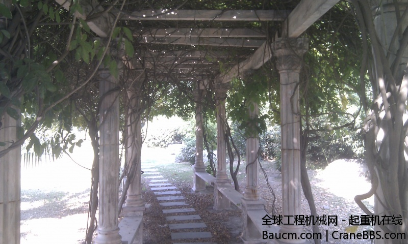 IMAG0106.jpg