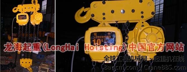 双吊钩环链电动葫芦1.jpg