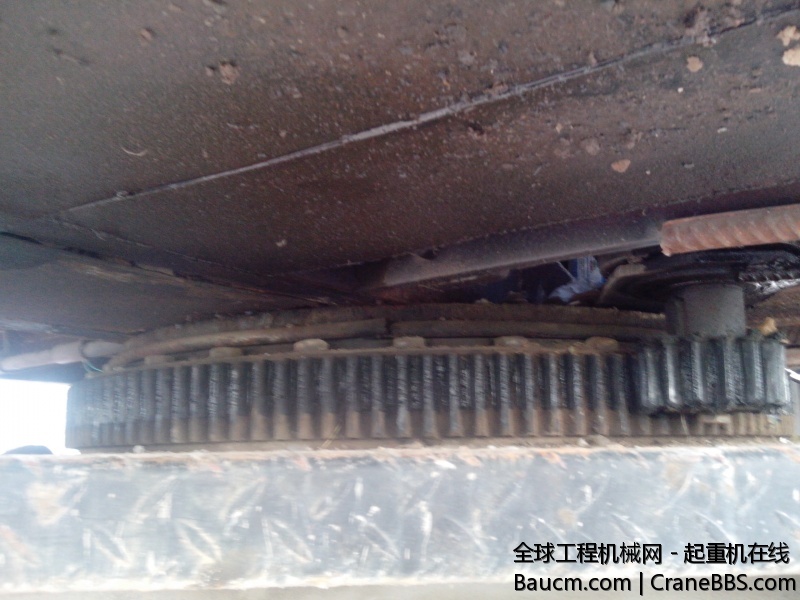 IMG_20131103_104742.jpg