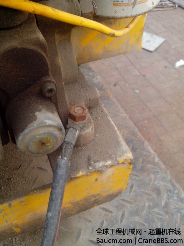IMG_20131103_105308.jpg