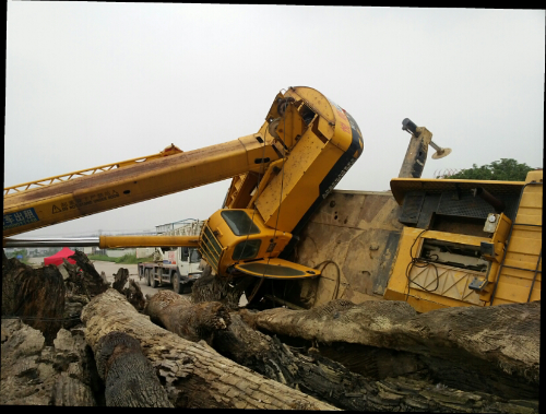 20130603_100243.jpg