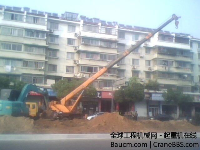 吊一吨的树