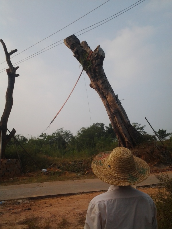 20131023_165245.jpg