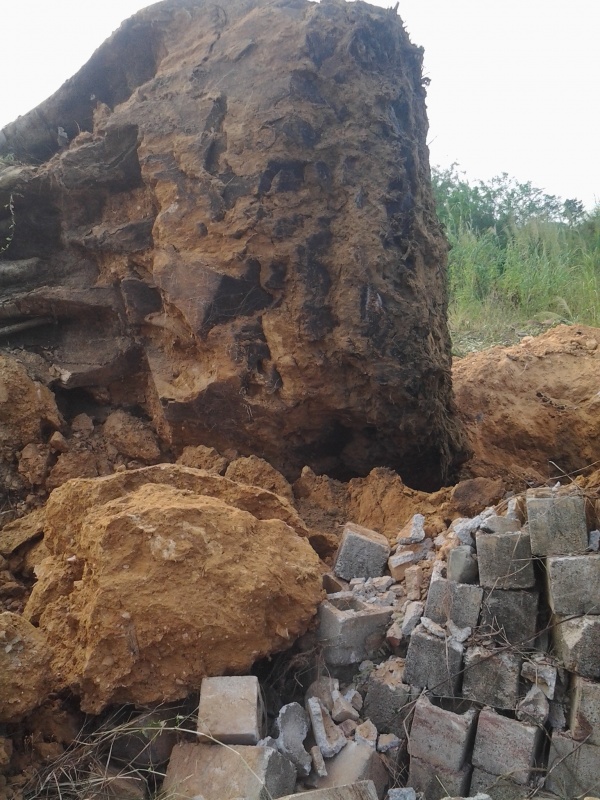 20131023_170721.jpg