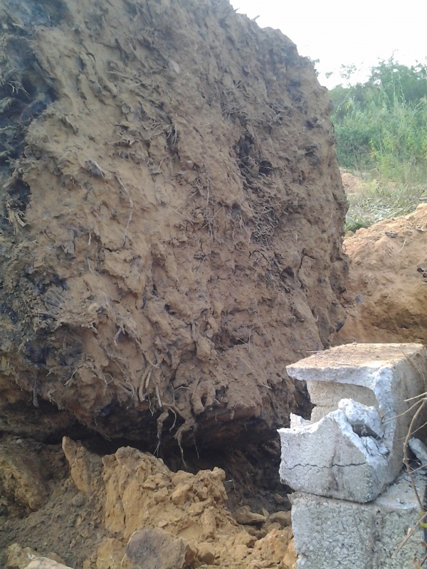 20131023_171634.jpg