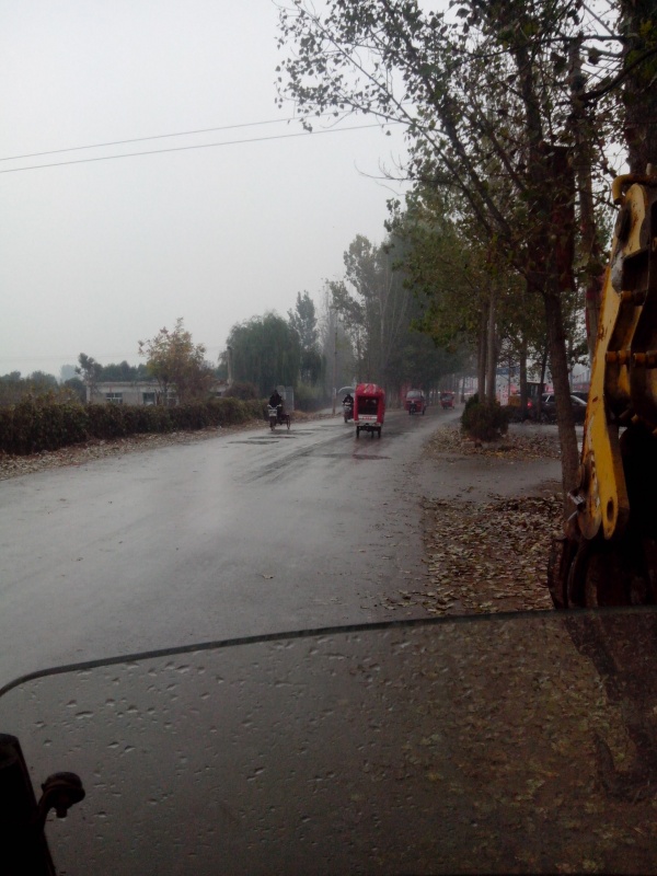 IMG_20131108_102450.jpg