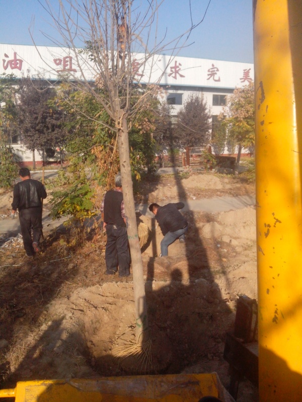 IMG_20131107_084216.jpg