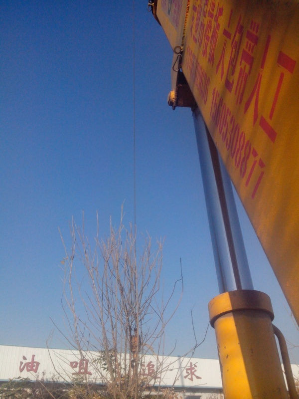 IMG_20131107_084228.jpg