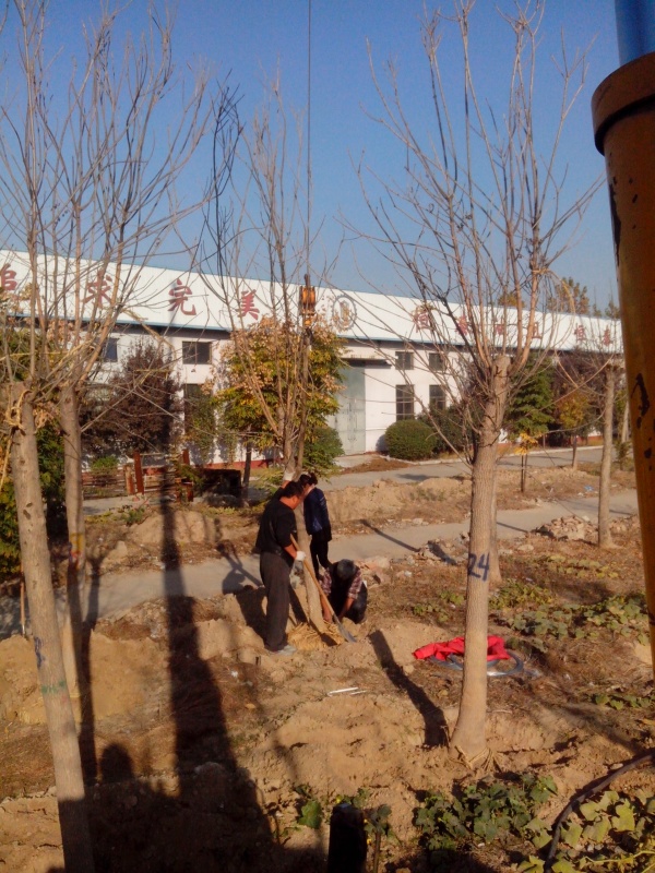 IMG_20131107_084554.jpg