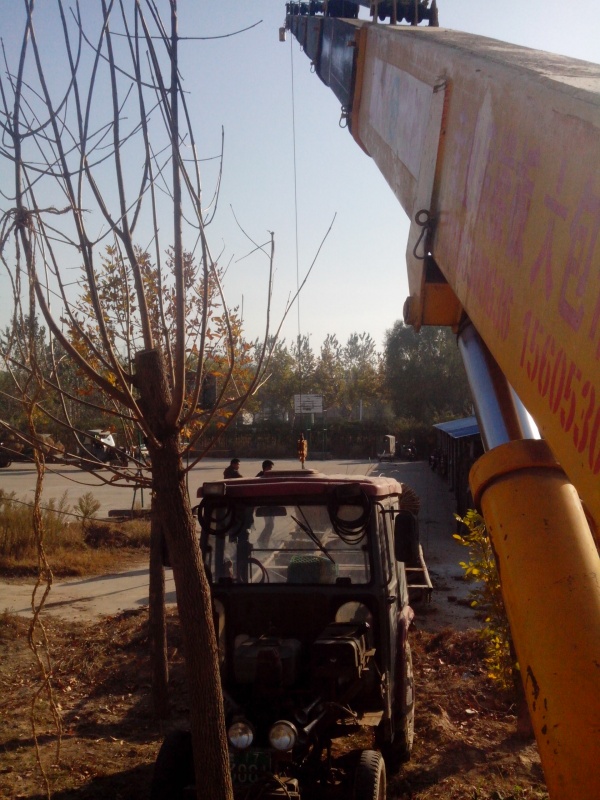 IMG_20131107_085227.jpg