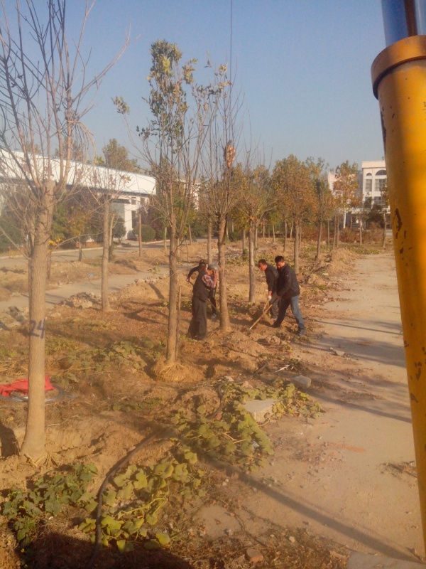 IMG_20131107_085358.jpg
