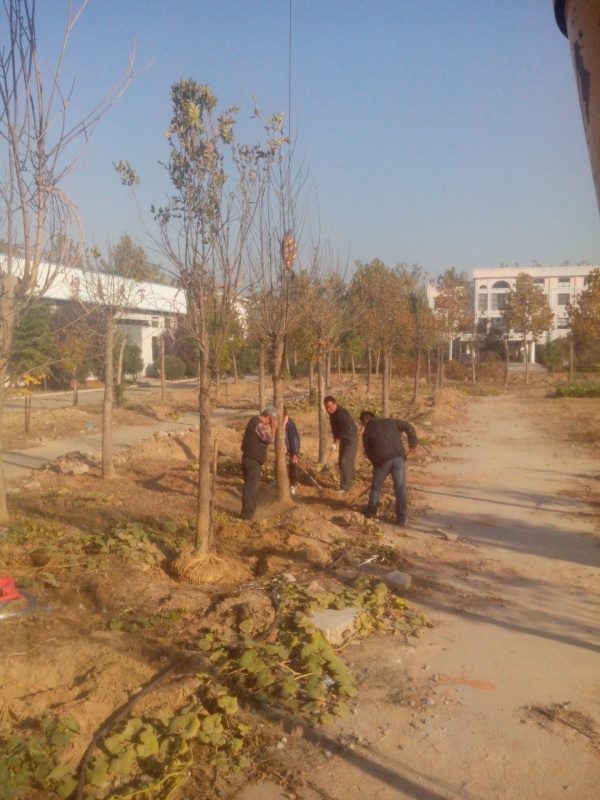 IMG_20131107_085412.jpg