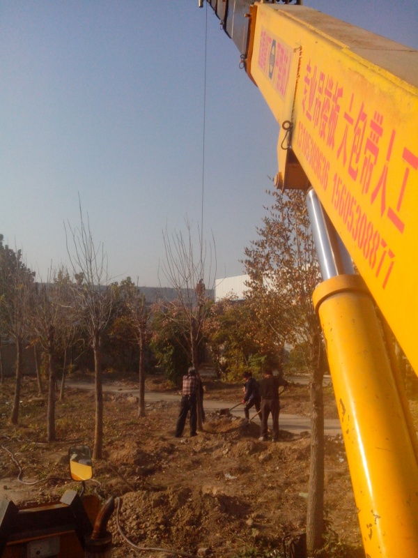 IMG_20131107_091024.jpg