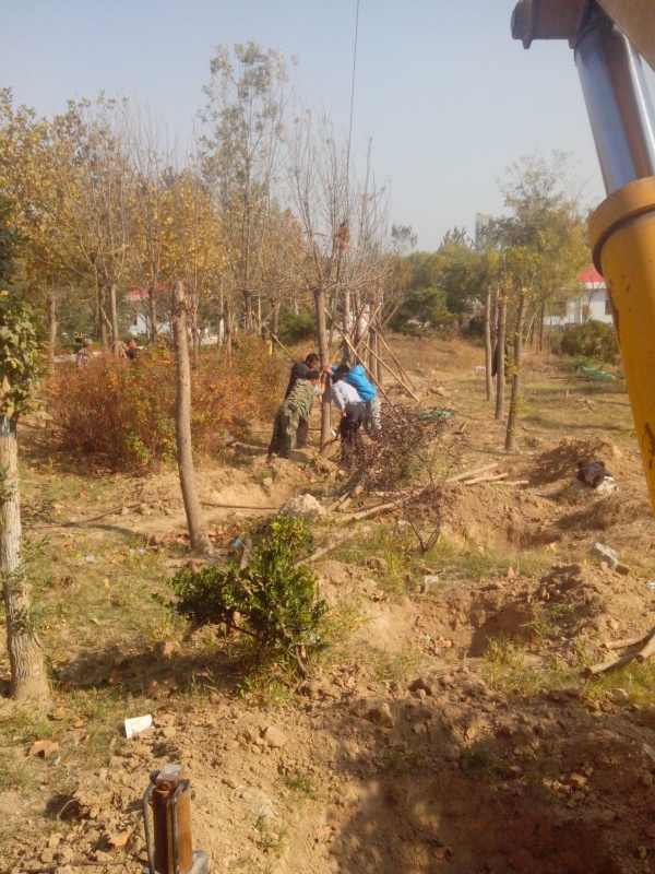 IMG_20131107_132629.jpg