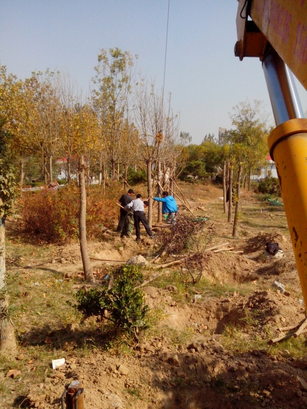 IMG_20131107_132645.jpg