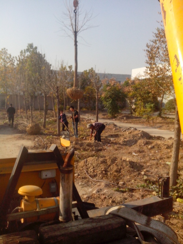 IMG_20131107_090756.jpg
