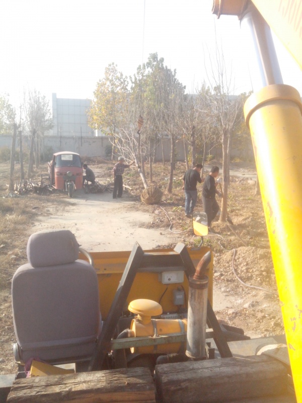 IMG_20131107_090926.jpg
