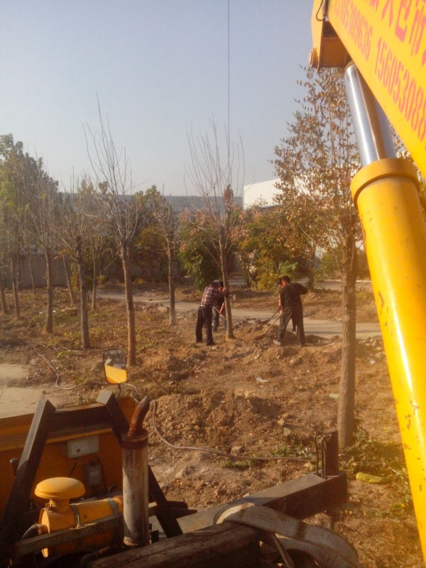 IMG_20131107_091020.jpg
