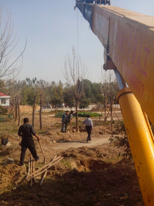 IMG_20131107_134510.jpg