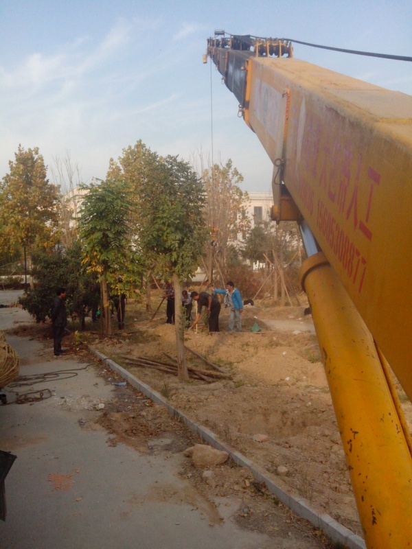IMG_20131107_145718.jpg