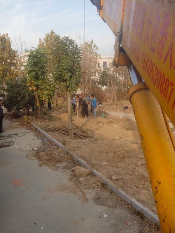 IMG_20131107_145710.jpg