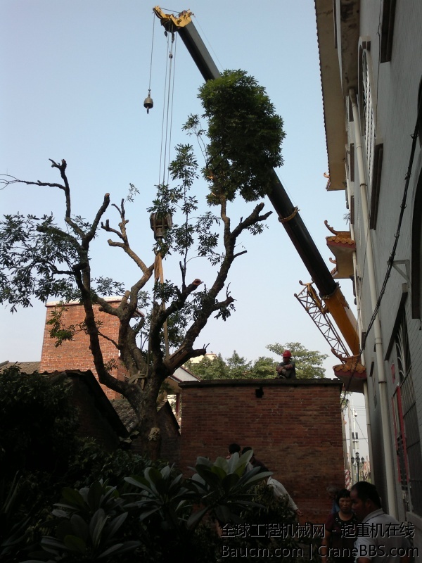 201310091672.jpg