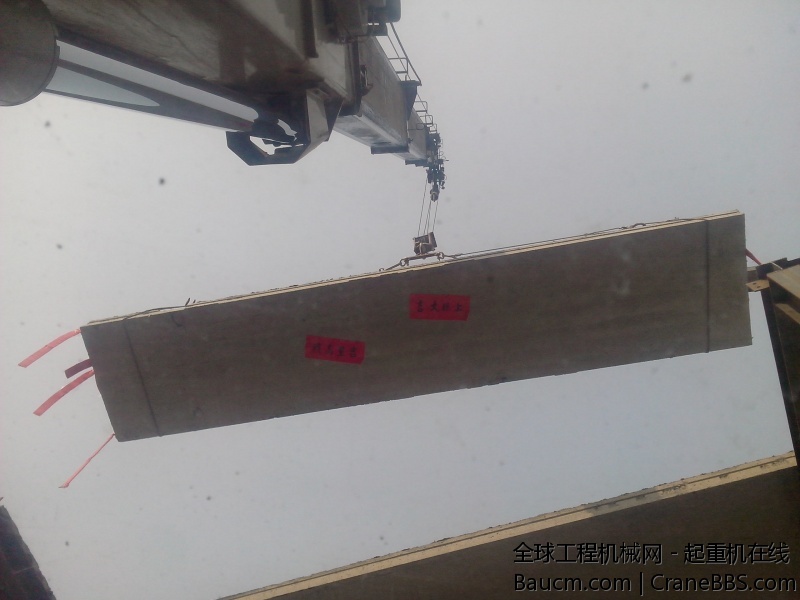 IMG20131108017.jpg