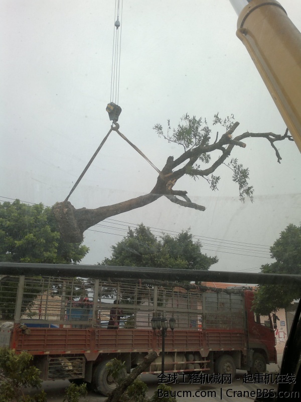 201310091675.jpg