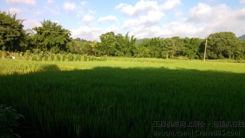 工地边上的风景