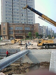 IMG1833A.jpg