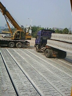 IMG1842A.jpg