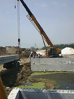 IMG1786A.jpg