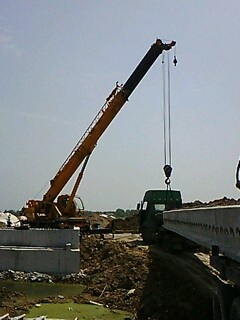 IMG1789A.jpg