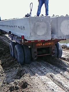 IMG1790A.jpg