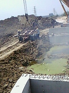 IMG1795A.jpg