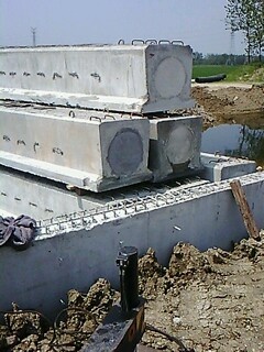 IMG1798A.jpg