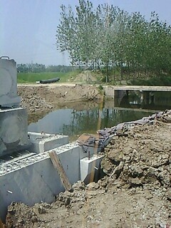 IMG1799A.jpg
