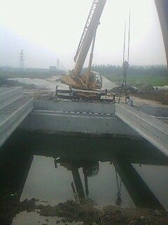 IMG1806A.jpg