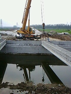 IMG1804A.jpg