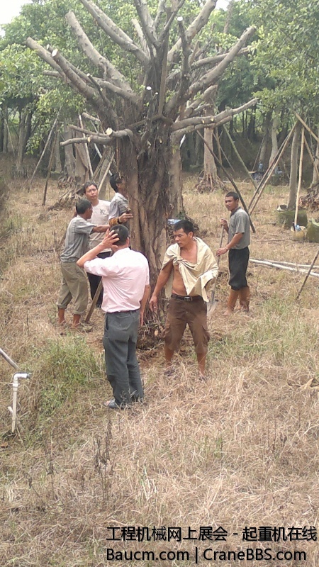 201309101504.jpg