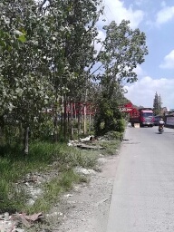 1378991962196 454962864.jpg