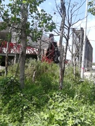 1378991963252 1372942738.jpg