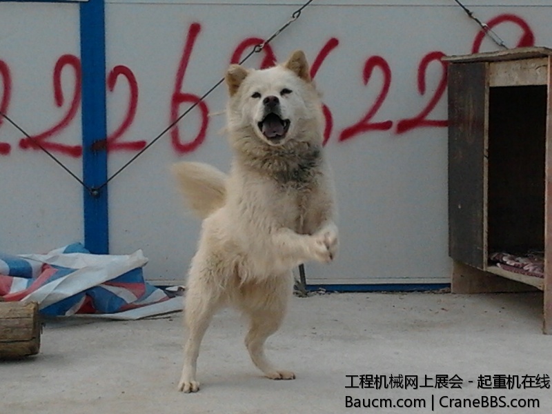 2012-11-19 15.20.09.jpg