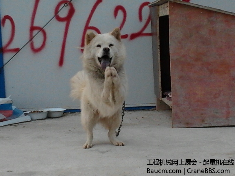 2012-11-19 15.20.31.jpg