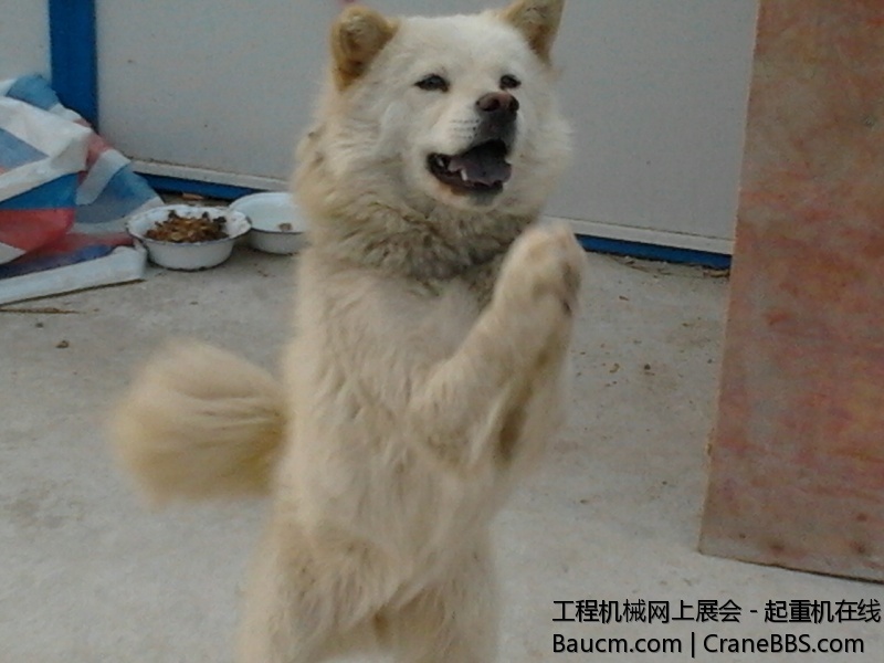 2012-11-19 15.20.42.jpg