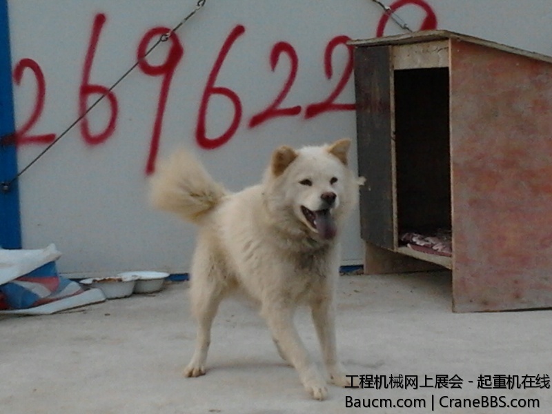 2012-11-19 15.20.15.jpg