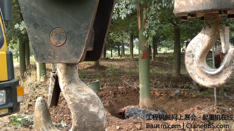 201309081496.jpg