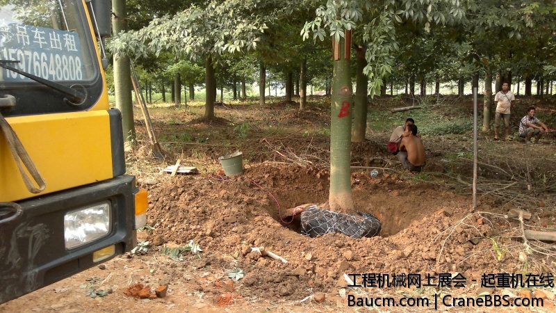 201309081495.jpg